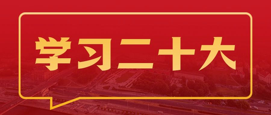 国发创投各支部开展学习贯彻党的二十大精神主题党日活动